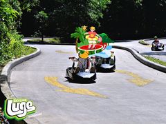 -圣淘沙天际线斜坡滑车