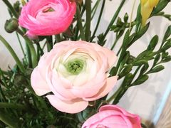 -豆豆花艺(新光天地店)