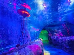 -沈阳海洋探索中心