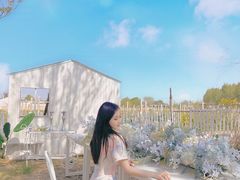 A区的餐桌好好看-安德鲁户外烧烤帐篷营地(马泉营店)