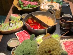 -大龙燚·旷野鲜火锅(广州首店)