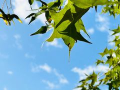 -野鸭湖国家湿地公园