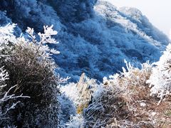-梵净山旅游区