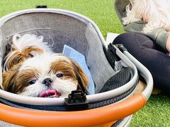 -西安电影制片厂