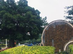 -白沙门生态公园