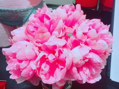 -Victoria's Secret(苏州中心全品类店)