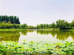 -东郊湿地公园