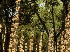 -白马涧龙池景区