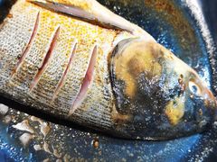 花鲢鱼头-销魂美蛙鱼头火锅(上海首店)