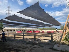 -北京群众马术培训基地