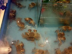 -食嗨汇海鲜烤肉自助餐厅(印象济南店)