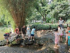 -成都市活水公园