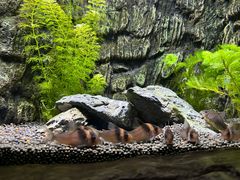 -上海海洋水族馆