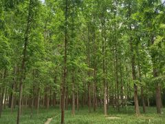 -河南省黄河迎宾馆