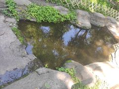 -黛秀湖公园