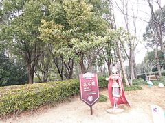 -南翔镇银翔湖公园