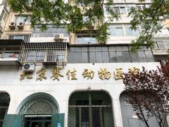 -北京赛佳动物医院