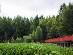 -丽江泸沽湖景区