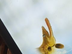 -徽三说·土徽菜·中国徽菜连锁品牌(一中店)