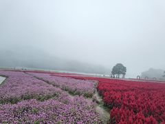 -广州市石门国家森林公园