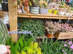 -双季花艺园艺市场(浦东店)