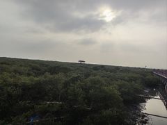 -北海金海湾红树林生态旅游区
