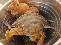 -四海蒸鲜蒸汽海鲜自助(北戴河店)