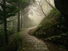 -莫干山风景区