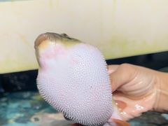 -原龙海鲜大排档(美食地标店)