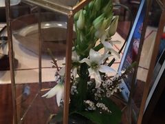 -云龙轩(迪士尼探索家度假酒店)