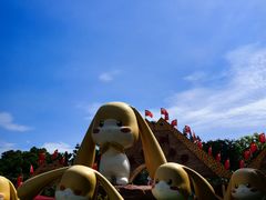 -深圳野生动物园