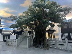 -馋遇江南·精致湖景雅宴(东方之门店)