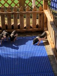 -萌宠亲子动物乐园(槐房万达店)