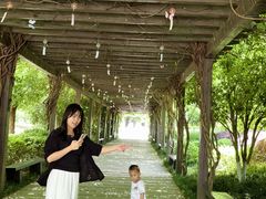 -白马涧龙池景区