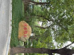 -上海市曹杨第二中学