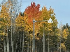 -养云安缦吧THE BAR