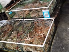 -拉威海鲜市场