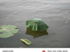 -济南大明湖景区