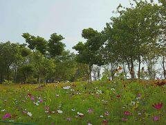 -钟山体育运动公园