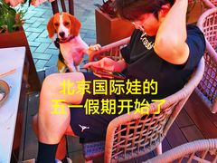 -日本大使馆-新闻文化中心