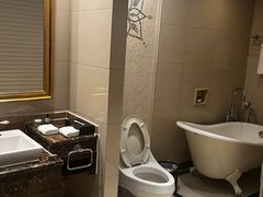 -圣爵菲斯大酒店(长沙世界之窗店)