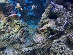 -成都浩海立方海洋公园