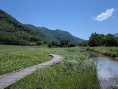 -大九湖
