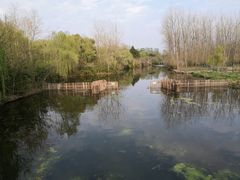 -溱湖国家湿地公园