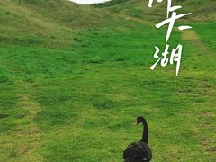 -仰天湖大草原