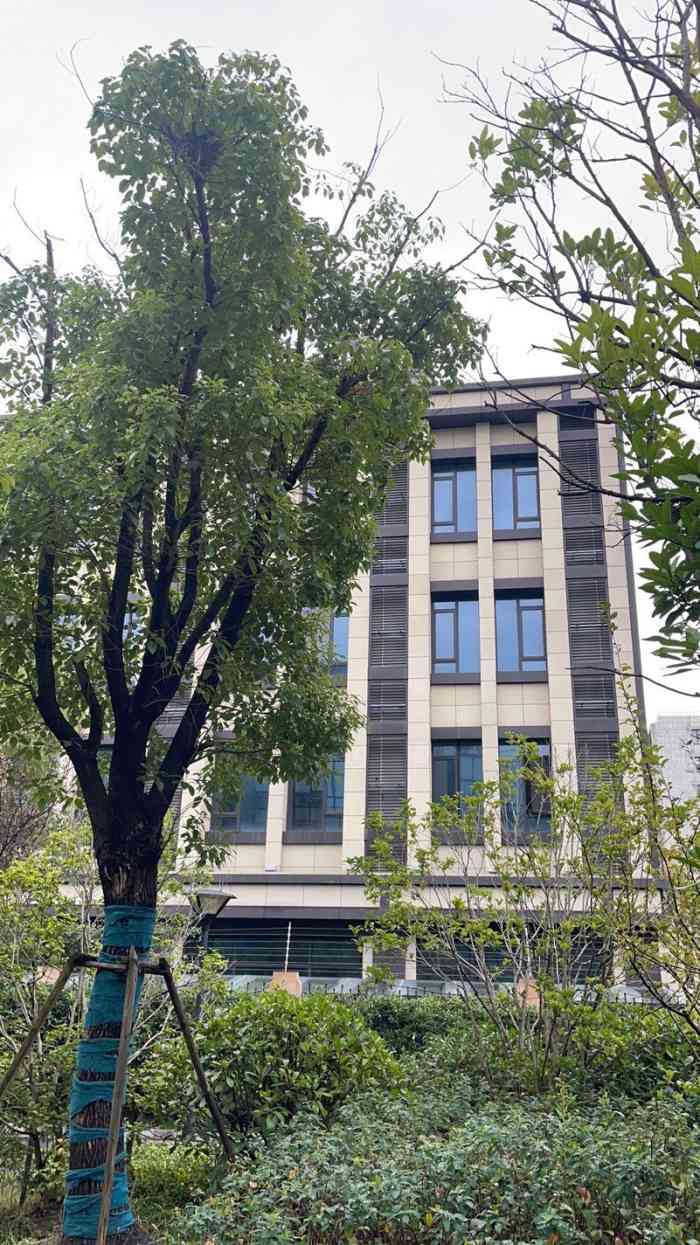 虹桥镇体育中心-"虹桥镇体育中心那个游泳池国际标准,那个工.