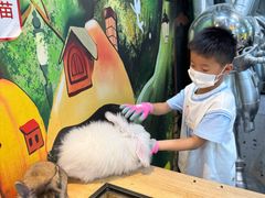 -上海大自然野生昆虫馆(东方明珠·爬宠昆虫探索中心)