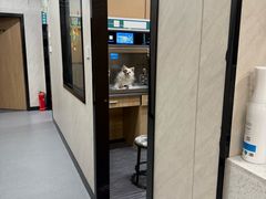 -半岛宠物医院24小时(西派城店)