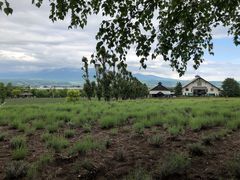 -富田农场