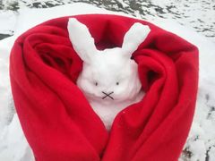 -硗碛藏寨·神木垒景区